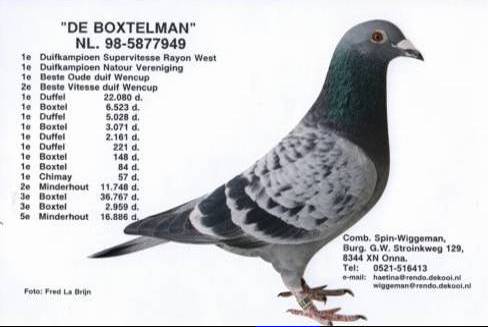 boxtelmanprof.jpg
